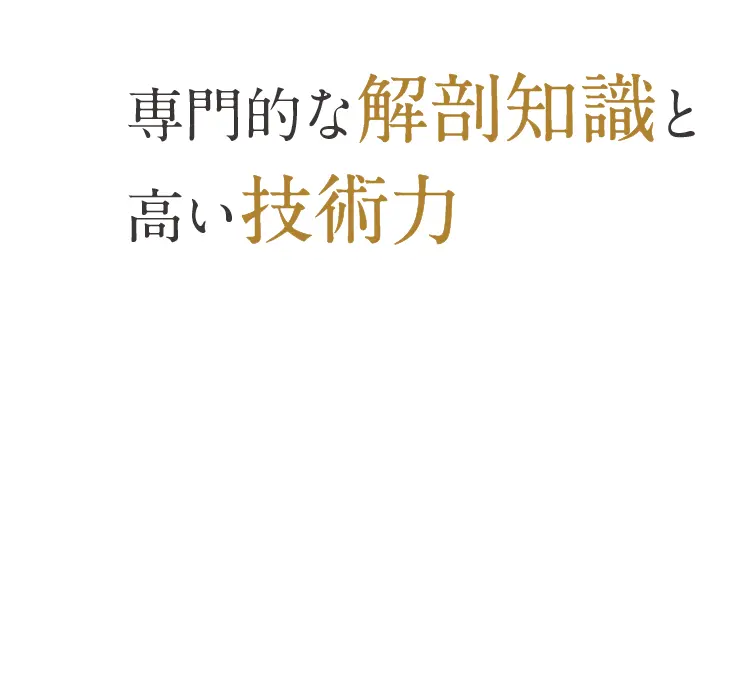 専門的な解剖知識と高い技術力