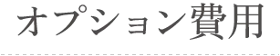 オプション費用